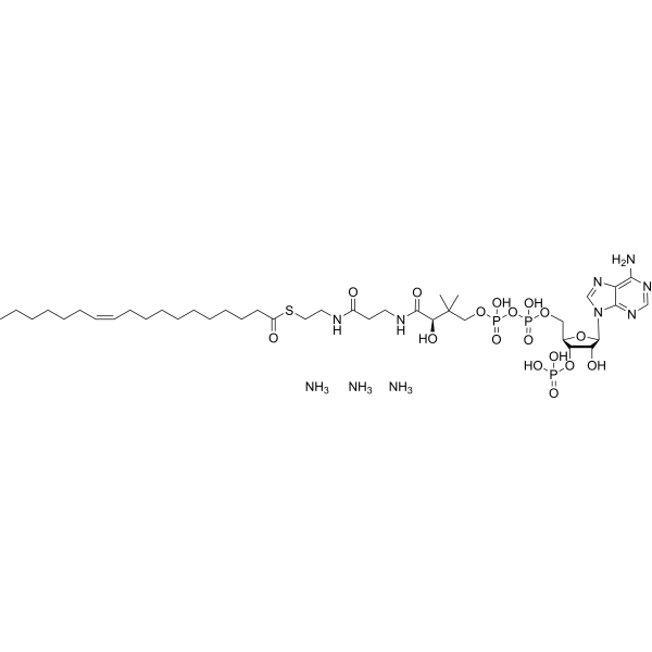 (11Z-Octadecenoyl)-CoA triammonium 852060-66-3